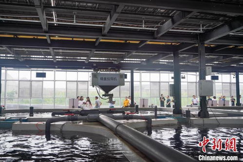 巴掌田上出实招 科技让重庆山地农业更智慧