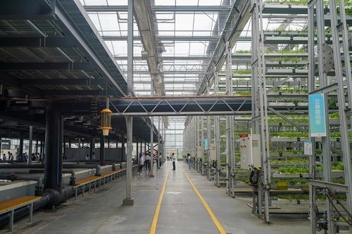 科技赋能山城新画卷 重庆创新成果引领乡村振兴之路